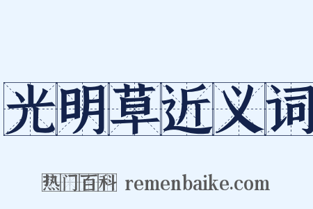 光明草近义词是什么意思的图片